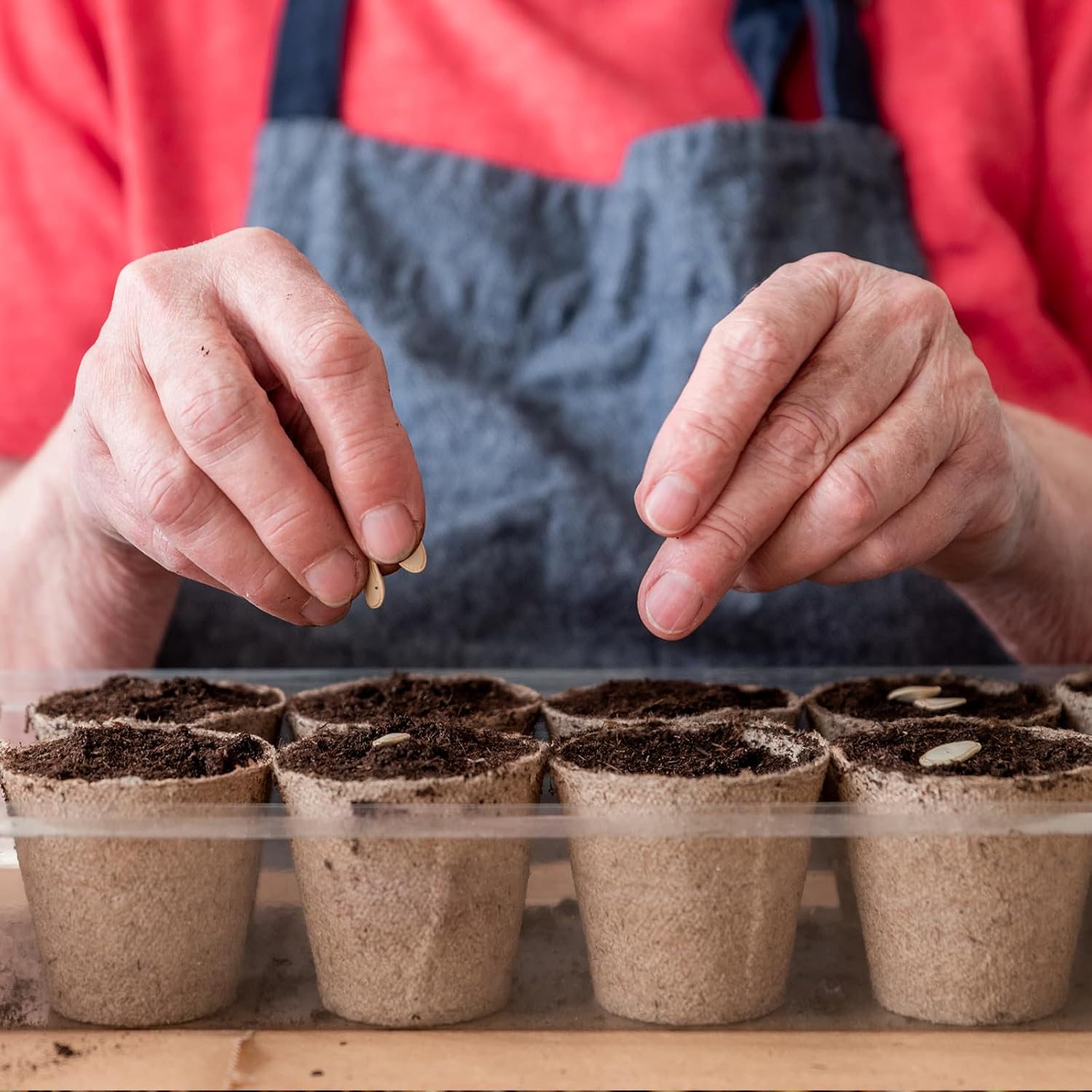 Sphagnum Peat Moss for Plants 2qt, Organic Garden Growing Soil Amendment and Media for Flowers, Vegetables, Herbs, Orchid, Indoor Houseplant