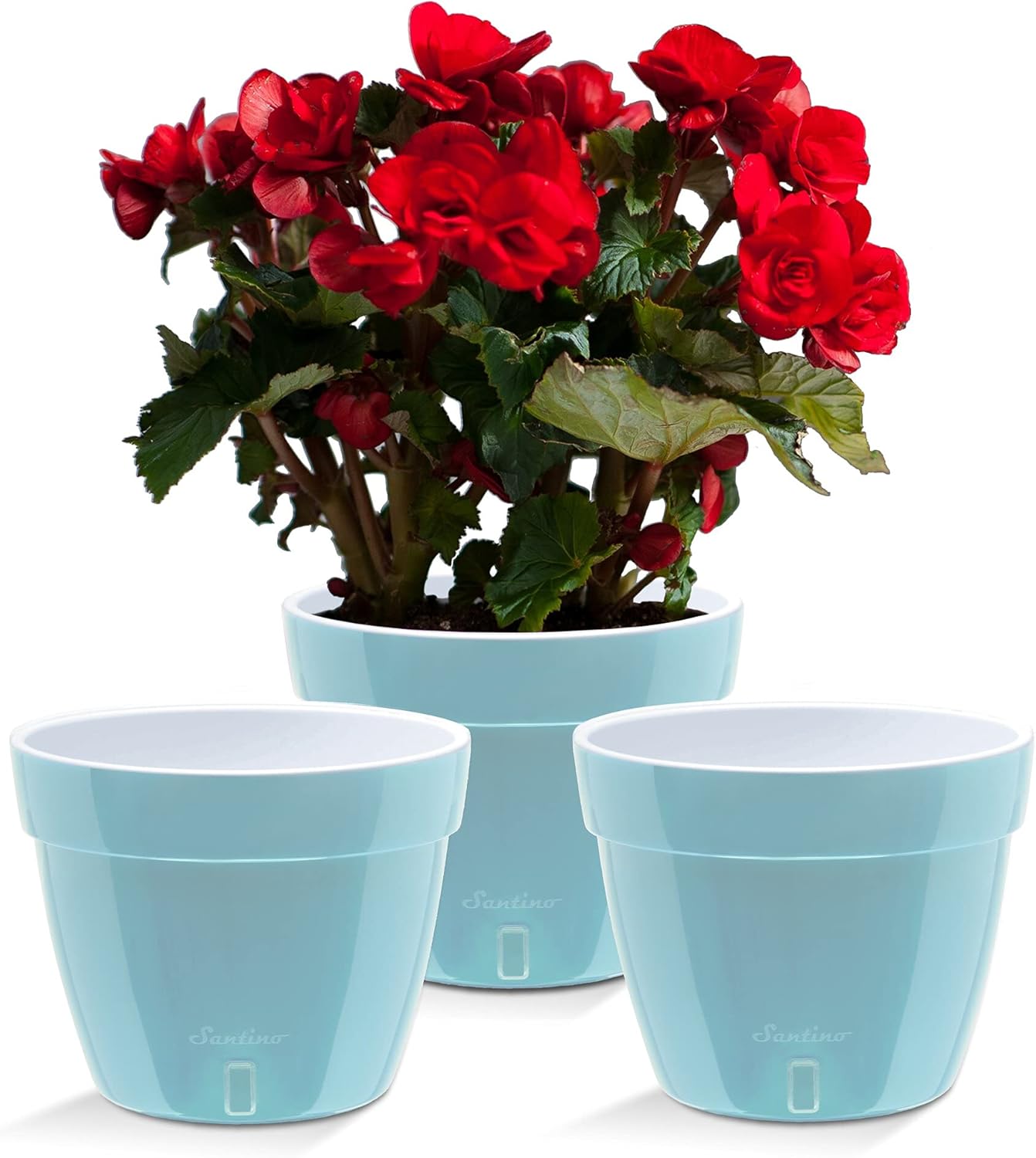 Santino ASTI 7.9 Inch Self Watering Planters Menthol/White (Set of 3) for Indoor Plants - Premium Quality Modern Plastic Pot w/Water Level Indicator for All House Plants, African Violets and Dahlias