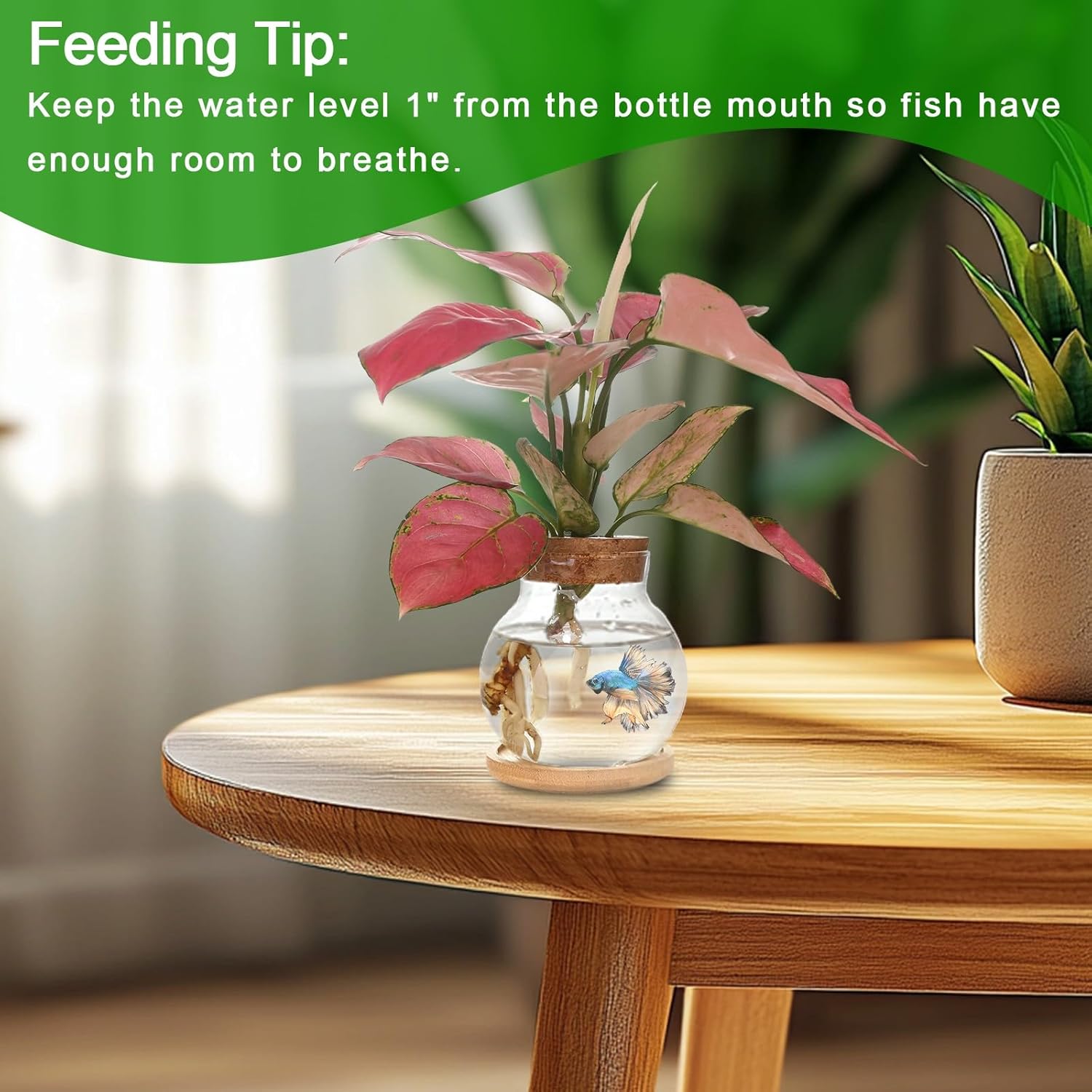 Plant Propagation Station,Hydroponic Glass Container Vase Jars, with Wooden Saucer for Desks, Houses, Garden Decorations, Home Kitchen Decorations and Gifts for Plant Lovers (6)