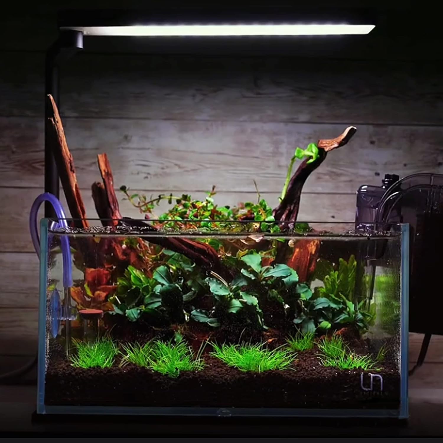 majoywoo Natural Small Driftwood for Aquarium Decor Reptile Decor, Assorted Driftwood Branch 2-4.5" 10 Pcs, Fish Tank Decorations