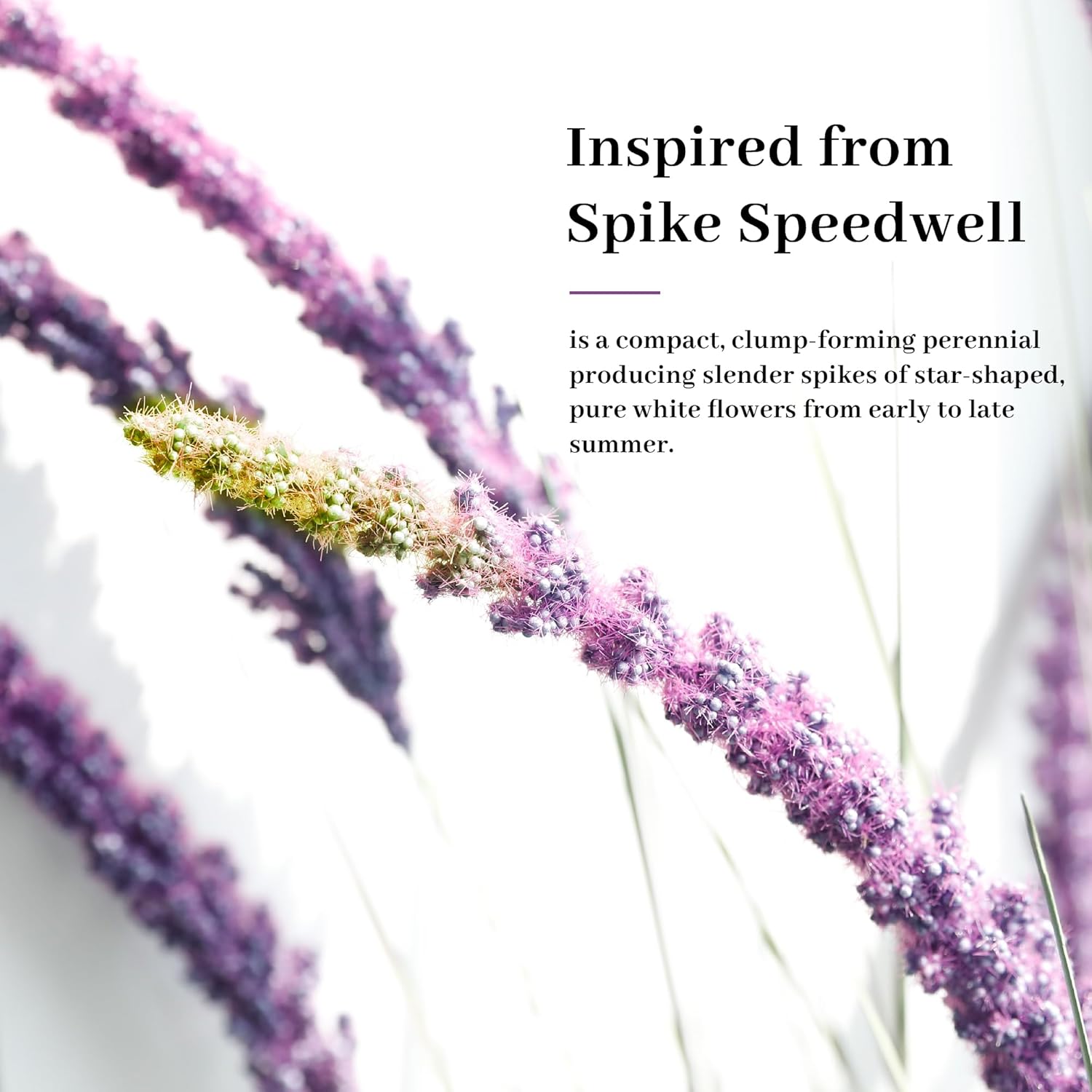 KOL 59in Artificial Veronica Spiked Speedwell Grass, 5ft Faux Veronica Spicata Flower, Tall Fake Reed Grass for Home Office Garden Wedding Décor, Indoor Outdoor Fake Plant, UV-Resistant, Purple