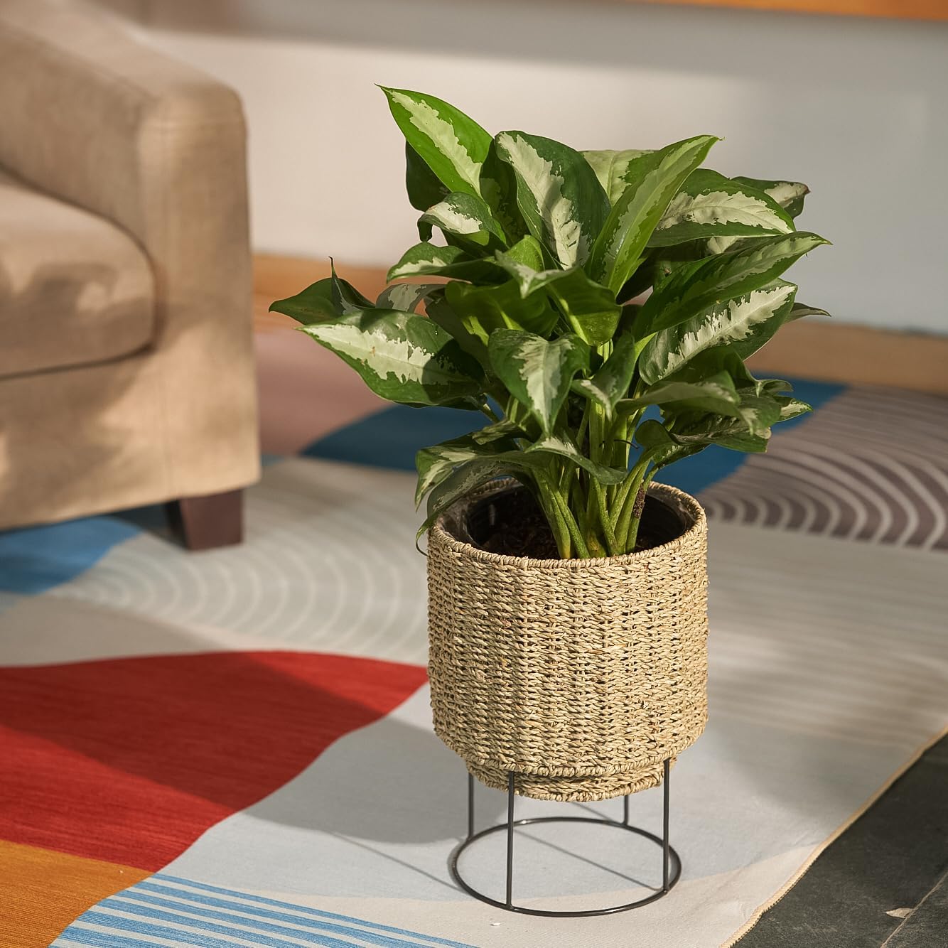 Set of 2 Water Hyacinth Planter Pot with Metal Stand - Indoor Plant, Flower, Succulent, Basket, Decorative Pot Cover (Seagrass)