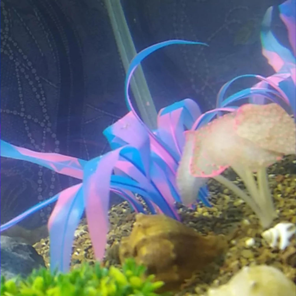 1Pcs Aquarium Decoration Plants Simulation Artificial Water Grass Fish Tank Decor Silicone Glowing Kelp Ornament Fish Tank Plant Aquarium Accessories,Blue,7.08in