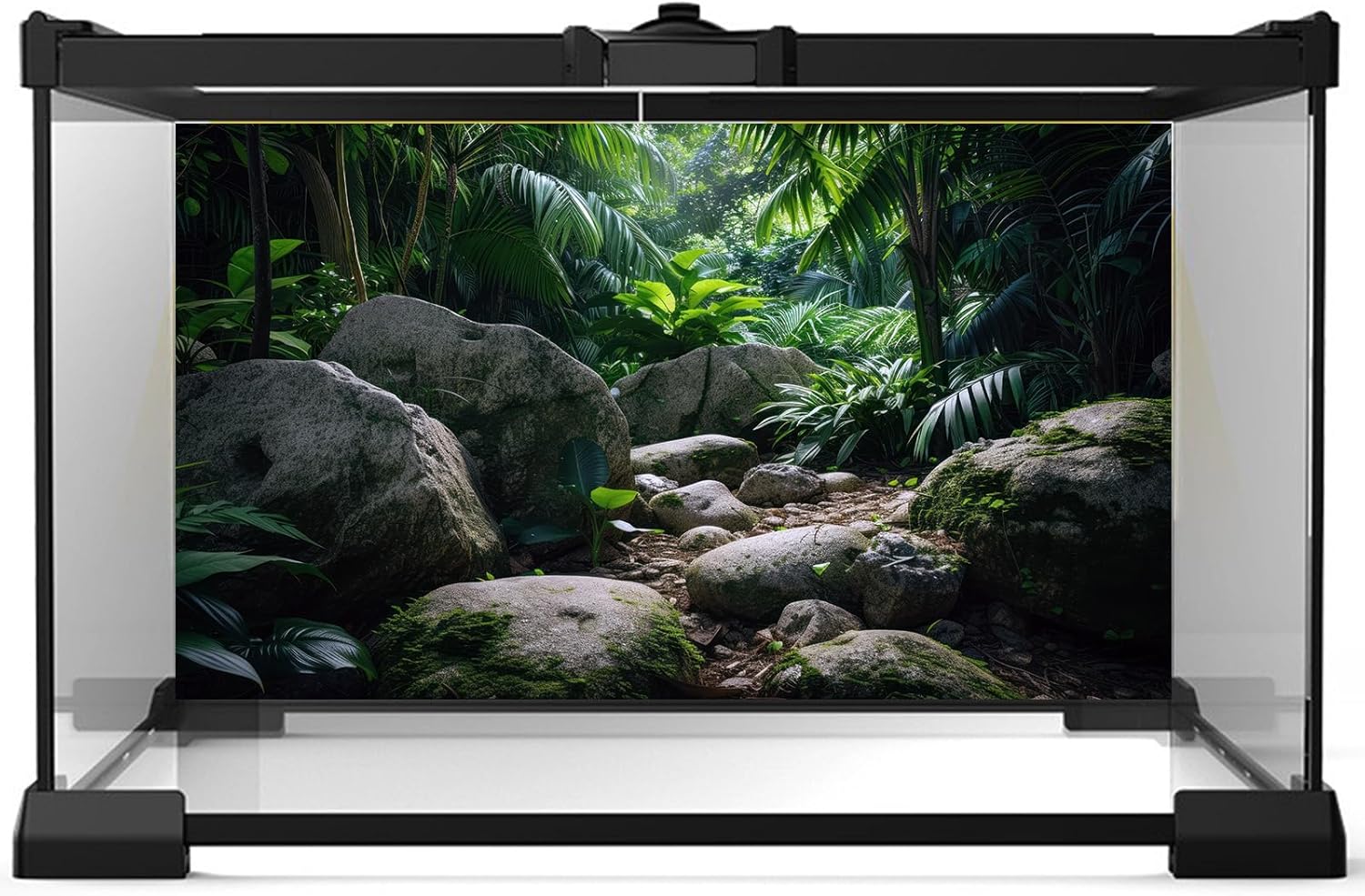 Reptile Habitat Backdrop Lush Tropical Plants and Rocks Terrarium Backdrop Dense Vegetation with Large Broad Leaves and Ferns Fish Tank Background Aquarium Wallpaper Poster Decor Vinyl 48x24in