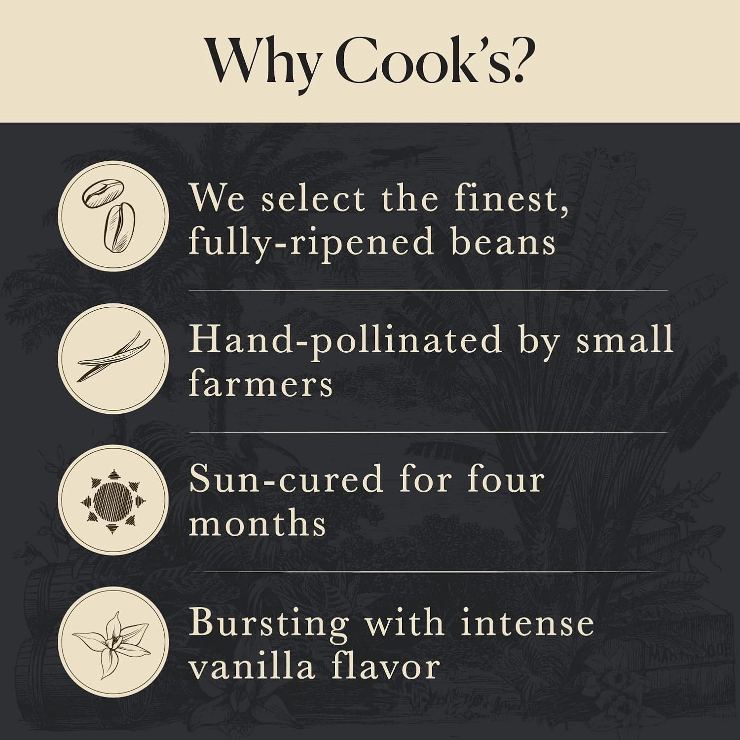 10 Organic Madagascar Whole Vanilla Beans, Grade A Pods, Premium Vanilla Beans for Making Extract & Baking - Cook’s