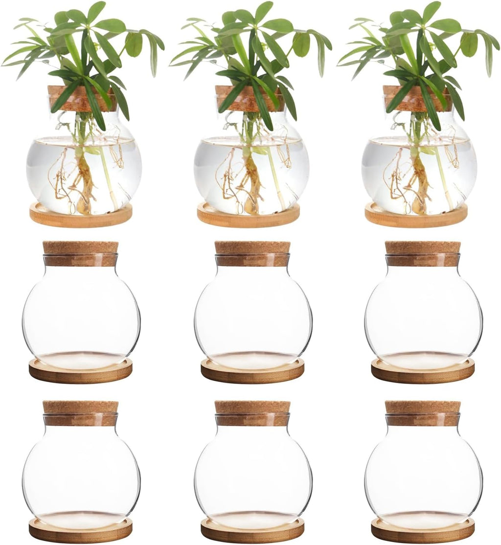 Plant Propagation Station,Hydroponic Glass Container Vase Jars, with Wooden Saucer for Desks, Houses, Garden Decorations, Home Kitchen Decorations and Gifts for Plant Lovers (9)
