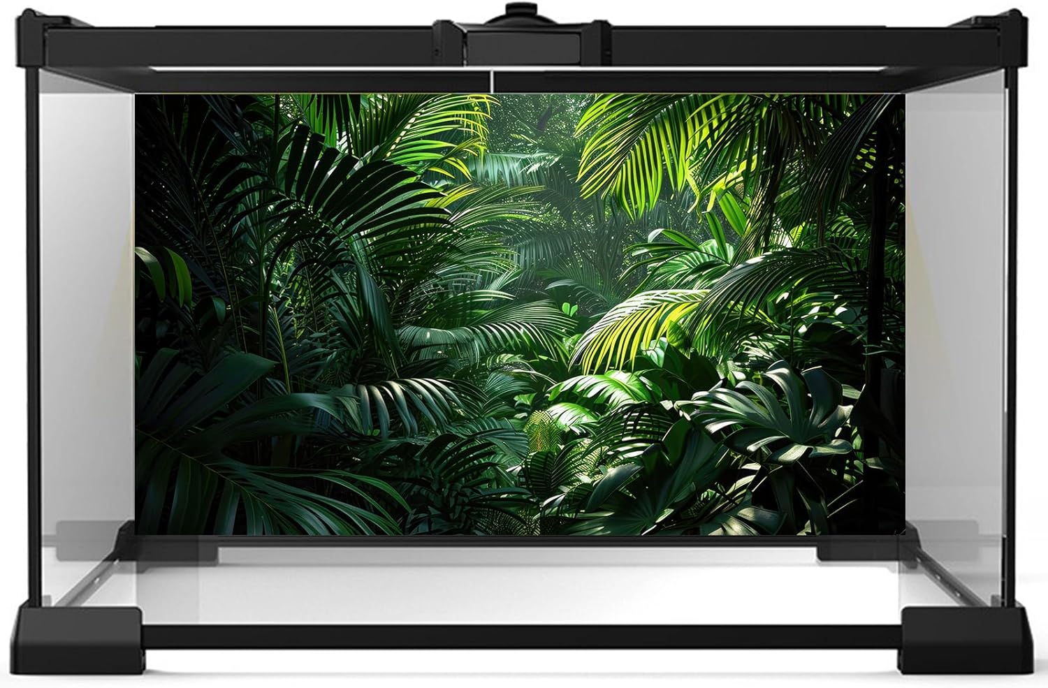 Aquarium Background Enchanting Beauty of Jungle Terrarium Backdrop Nature Jungle Green Leaf Palms Fish Tank Background Reptile Habitat Backdrop Wallpaper Poster Decor Vinyl 24x16in