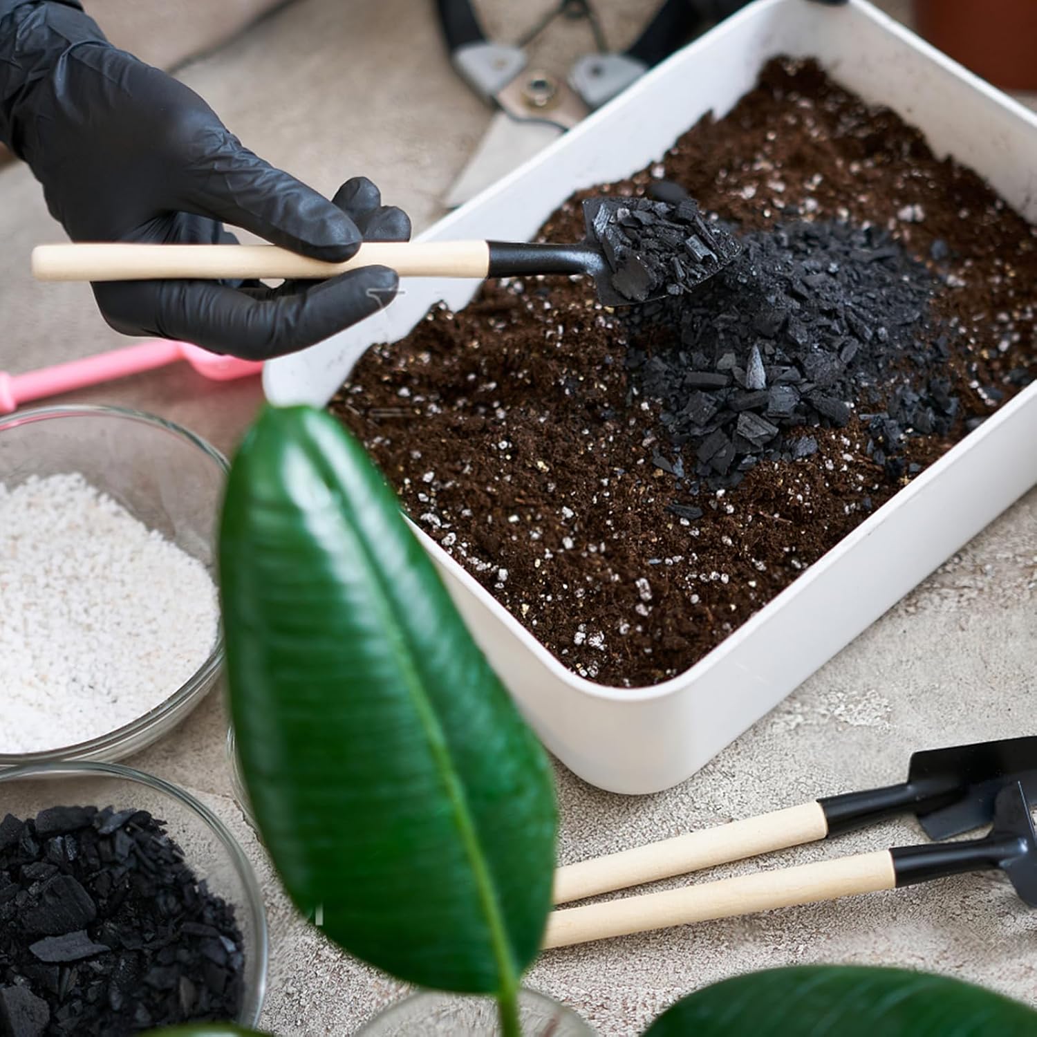 Horticultural Charcoal 1qt for Plants, Actived Charcoal Terrarium Supplies, Suitable for Indoor Plants, Succulent, Orchid, Cactus, Bonsai