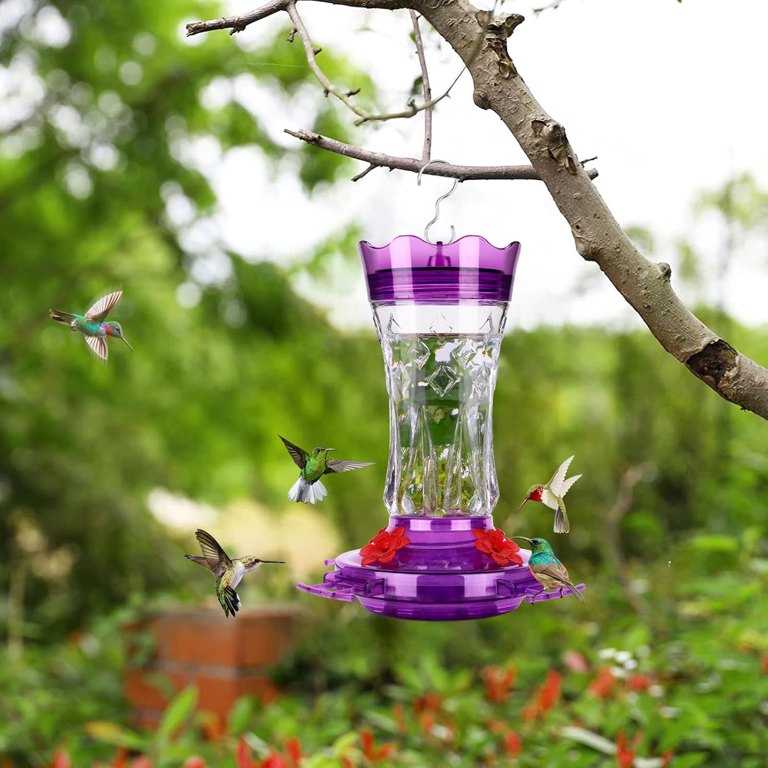 Hummingbird Feeders for Outdoors Hanging, BOLITE Glass Hummingbird Feeder, 4 Bee Guard Feeding Ports, Built-in Ant Moat, Leak Proof, 15 Ounces, Stars Decor, Purple, 2 Pack, Gifts for Women Men