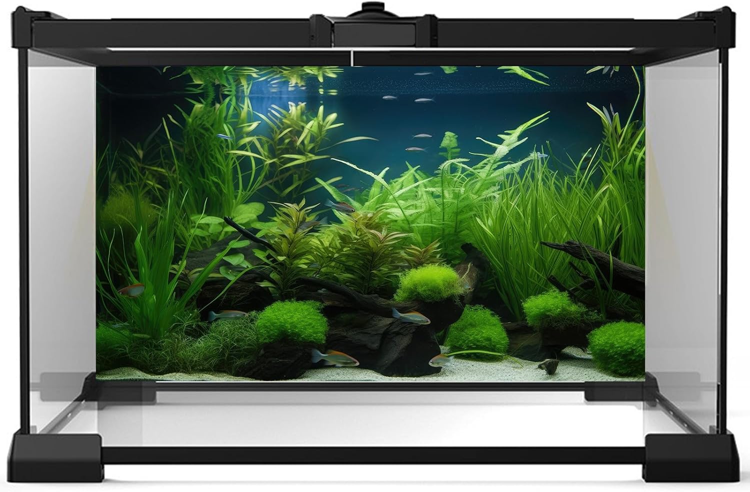 Aquarium Background Diverse Collection of Aquatic Plants Seagrasses Terrarium Background Redwood Root Moss Tropical Style Underwater Plants Fish Tank Background Under The Sea Aquarium Backdrop 30x18in