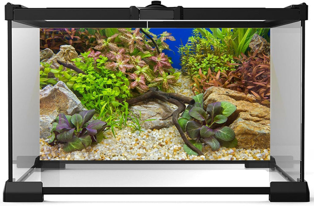 Fish Tank Background Various Underwater Grass Plants Pebble Aquarium Background Vivid Green Aquatic Plants Stone River Bed Terrarium Background Dead Wood Purple Leaves Tank Background 30x12in