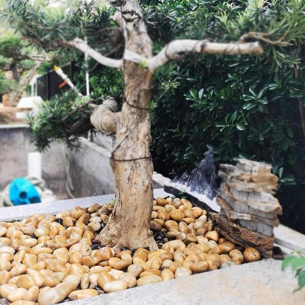 20 lbs Yellow River Rocks for Landscaping, 1-2 Inch Polished Pebbles for Indoor Plants, Decorative Rocks Stones for Plants, Vases, Aquariums, Fountains, Pathways, Backyard and Garden