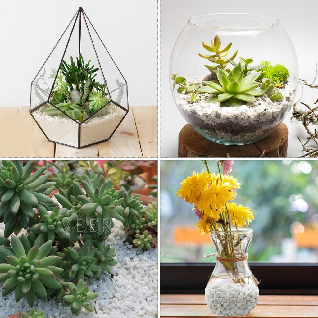 5lbs White Pebbles for Indoor Plants, 3/8inch Small Rocks for Succulent Cactus Planters, Natural Polished Pebbles, River Rocks for Plants, Vases, Garden