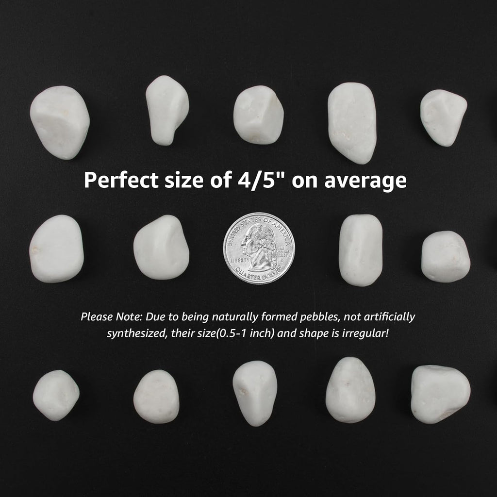 40 lbs White Polished Landscape Stones, 0.5-1 Inch Decorative Rocks for Gardens, Pathways, Pots, Vase Fillers, Aquarium Decoration, Glass Containers, and Yard Borde (Pure White, Weight: 40 LB)