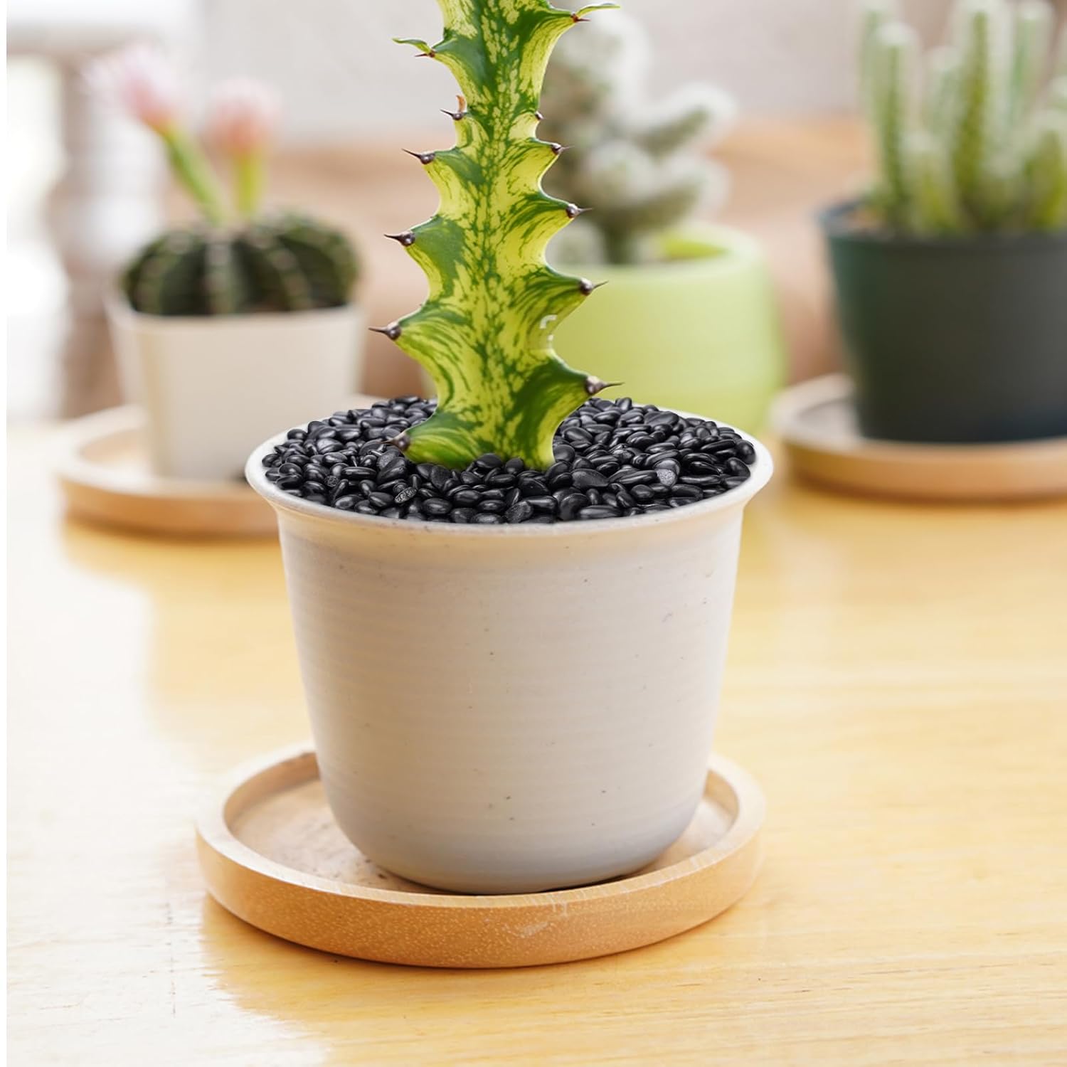 5 lbs Black Pebbles for Indoor Plants, Succulent, Bamboo, Vase, 3/8" Plant Rocks for Pots Indoor, Small River Rocks Decorative Pea Gravel, Highly Polished