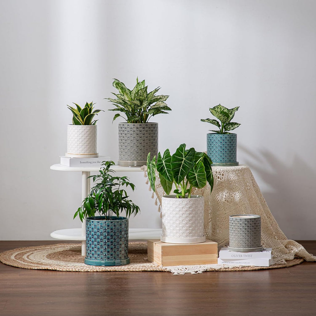 6 Inch Plant Pot: Ceramic Planter with Drainage Hole & Saucer Indoor Outdoor Plants - Cylinder Round Flower Pot for Home Office - Modern Decorative - Small Grey