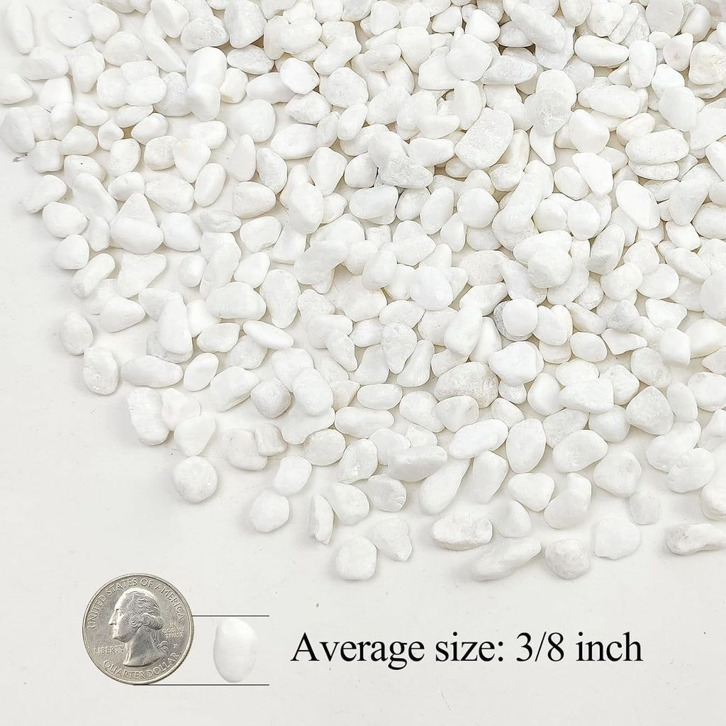 5lbs White Pebbles for Indoor Plants, 3/8inch Small Rocks for Succulent Cactus Planters, Natural Polished Pebbles, River Rocks for Plants, Vases, Garden