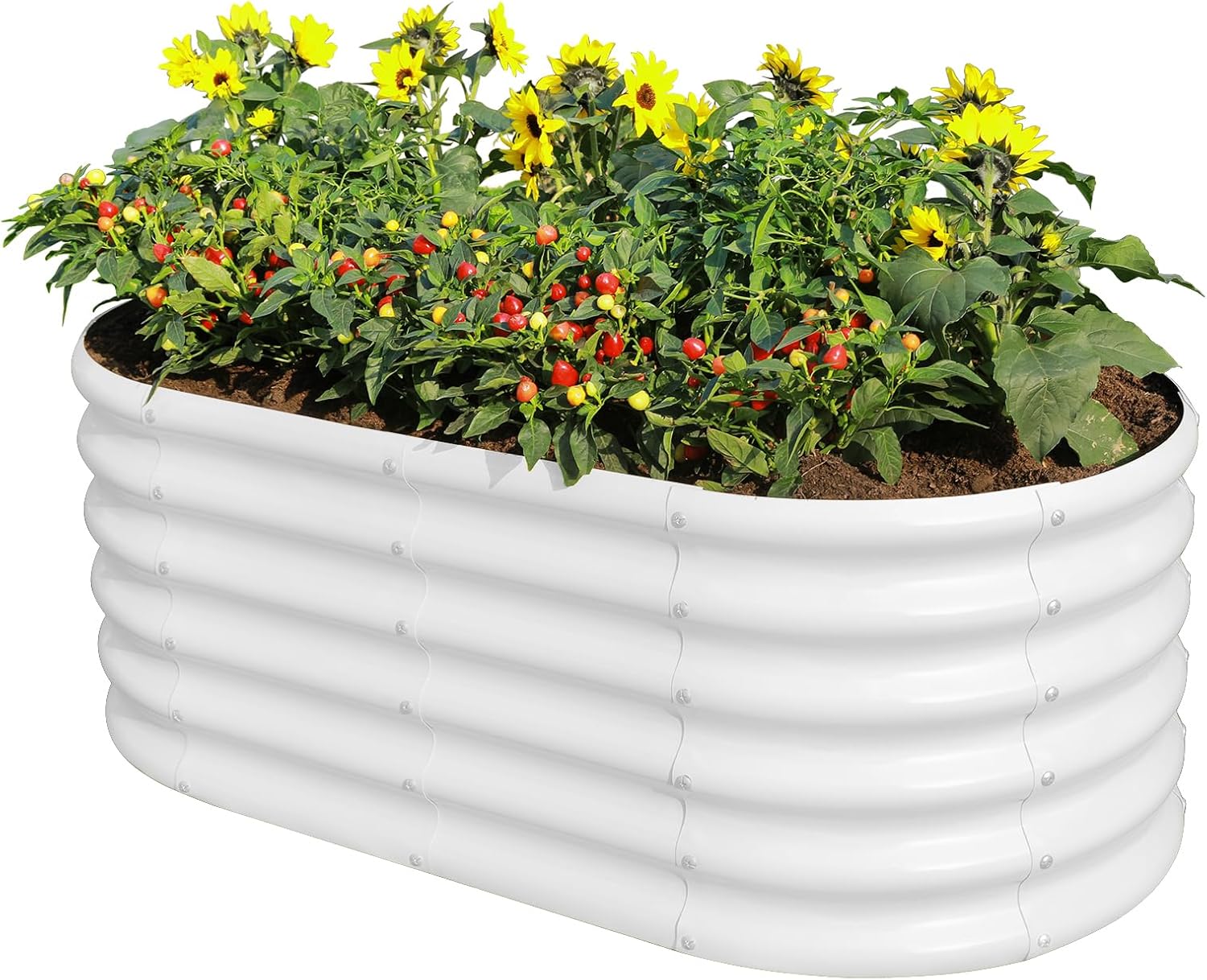 Land Guard 18“ Tall 4×2ft Galvanized Raised Garden Bed Kit, Galvanized Planter Garden Boxes Outdoor, Oval Large Metal Raised Garden Bed for Vegetables……… (Pearl White, 4×2×1.5ft)