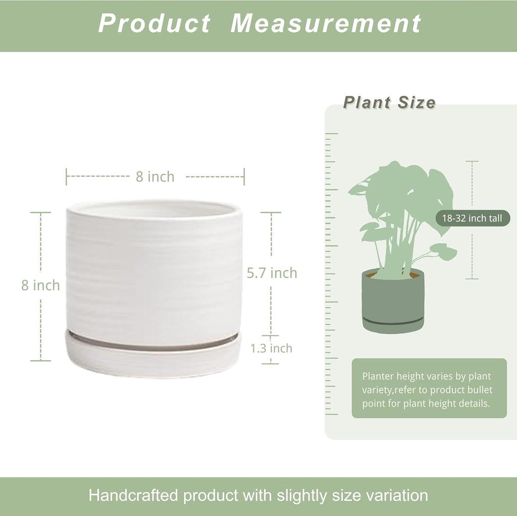 8 Inch Pots for Plants, Ceramic Planter Pot with Drainage Hole & Saucer, Indoor/Outdoor Cylinder Round Planter Pot, Matte White