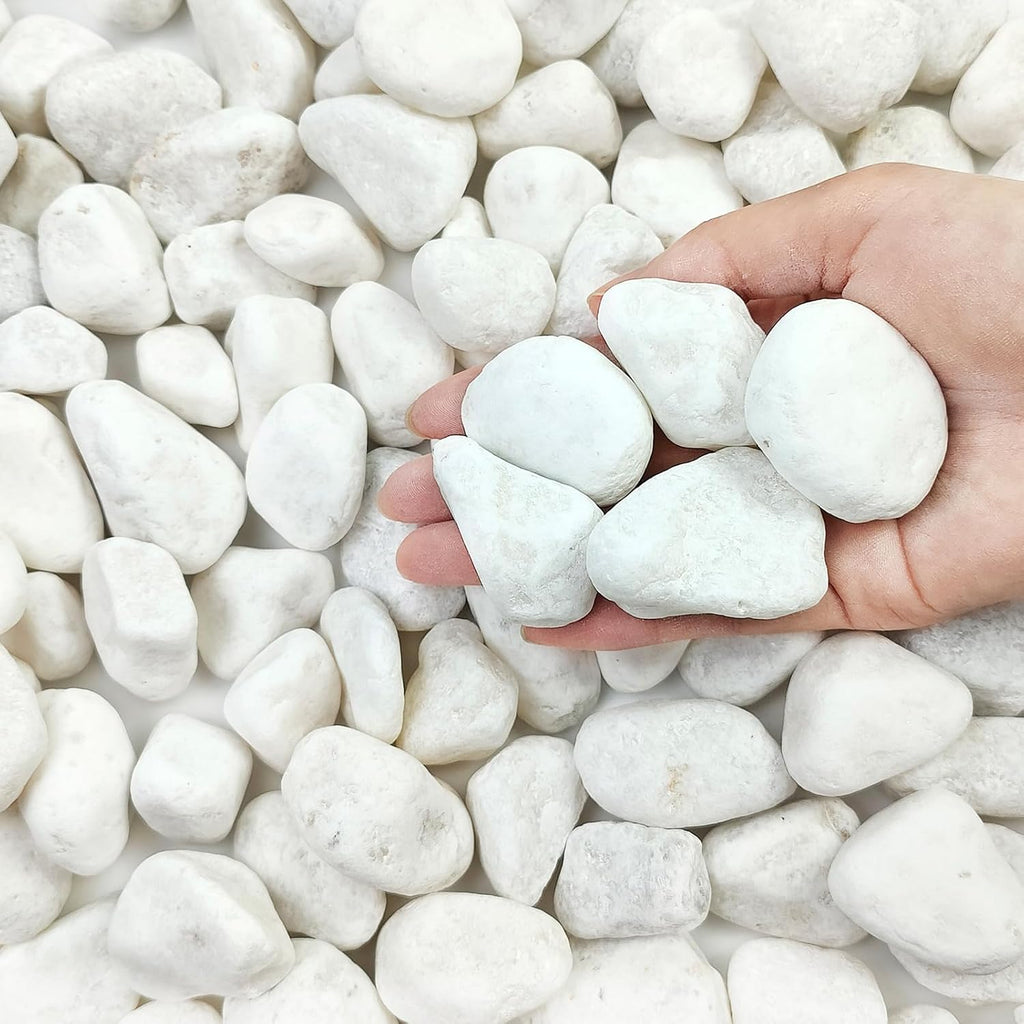 20 lbs White Stones for Landscaping, 1-2 Inch Pebbles Decorative River Rocks for Plants Indoor, Vases, Aquariums Gravel, Crafting and Garden