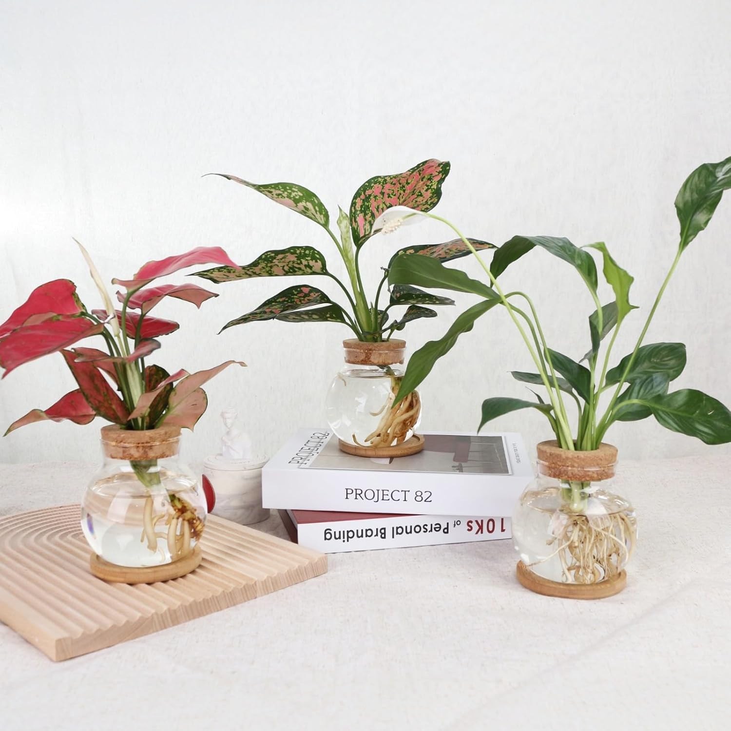 Plant Propagation Station,Hydroponic Glass Container Vase Jars, with Wooden Saucer for Desks, Houses, Garden Decorations, Home Kitchen Decorations and Gifts for Plant Lovers (9)