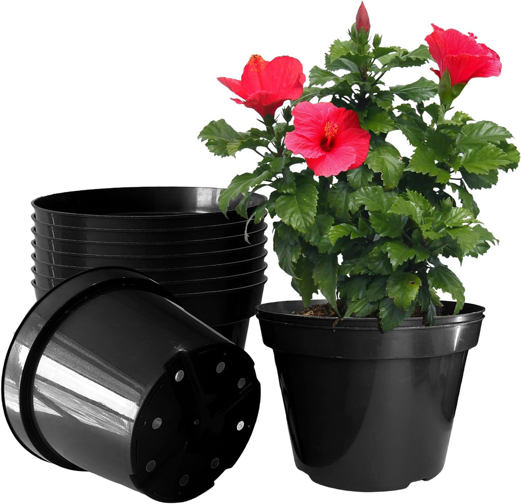10 Inch Plastic Nursery Pots for Plants 10 Pack Plant Pots with Drainage Holes 2 Gallon Nursery Pots Perfect for Indoor Outdoor Plants Such as Herbs, Strwaberrys and Flowers, Black