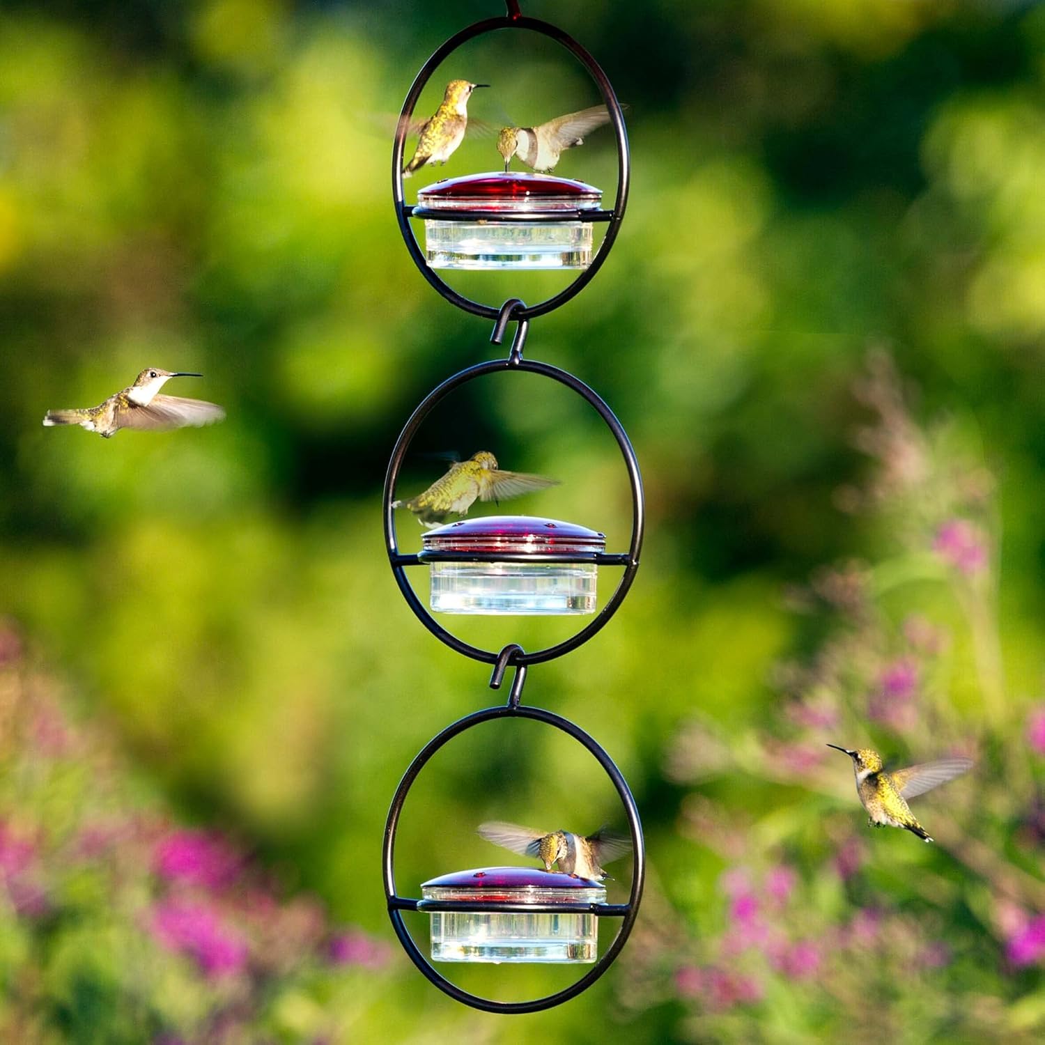 Hummble Slim Hummingbird Feeder, M045-301-3, 3.4 Ounce Capacity, Clear, 3 Piece