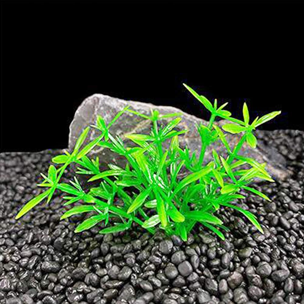 Smoothedo-Pets Aquarium Plant Fish Tank Decoration 20 Pieces Small/1" Tall Plastic Artificial Plant Goldfish Hidden Mini Grass Set (Green-A)
