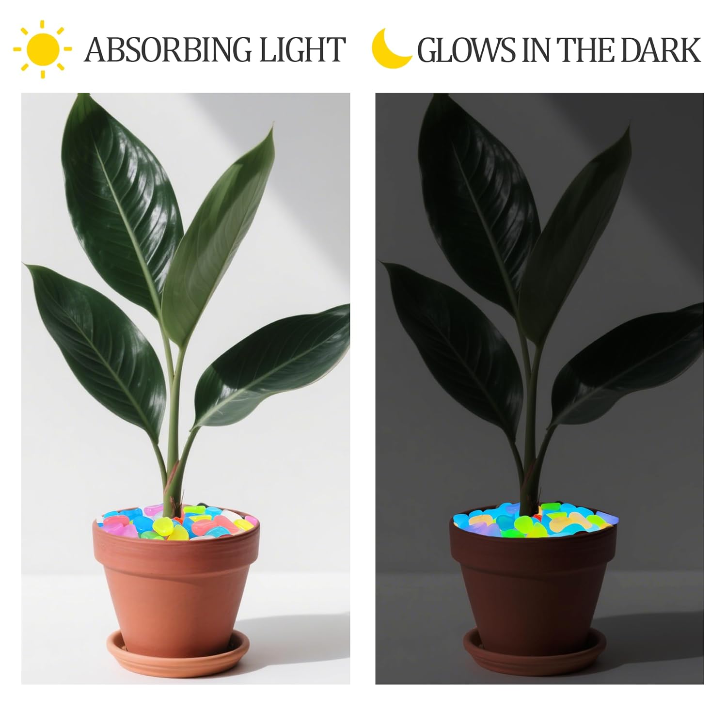 1.4LB 25-27mm Colorful Luminous Stones Fish Tank Glow Rocks Glow in The Dark Rocks Outdoor for Garden Path Walkway Yard Fish Tank Plant Pots