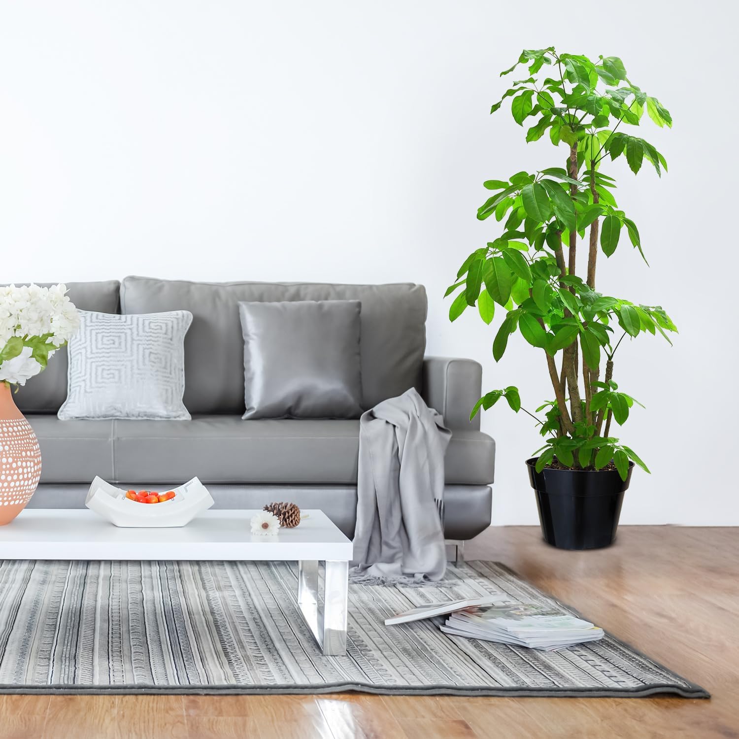 10 Inch Plastic Nursery Pots for Plants 10 Pack Plant Pots with Drainage Holes 2 Gallon Nursery Pots Perfect for Indoor Outdoor Plants Such as Herbs, Strwaberrys and Flowers, Black