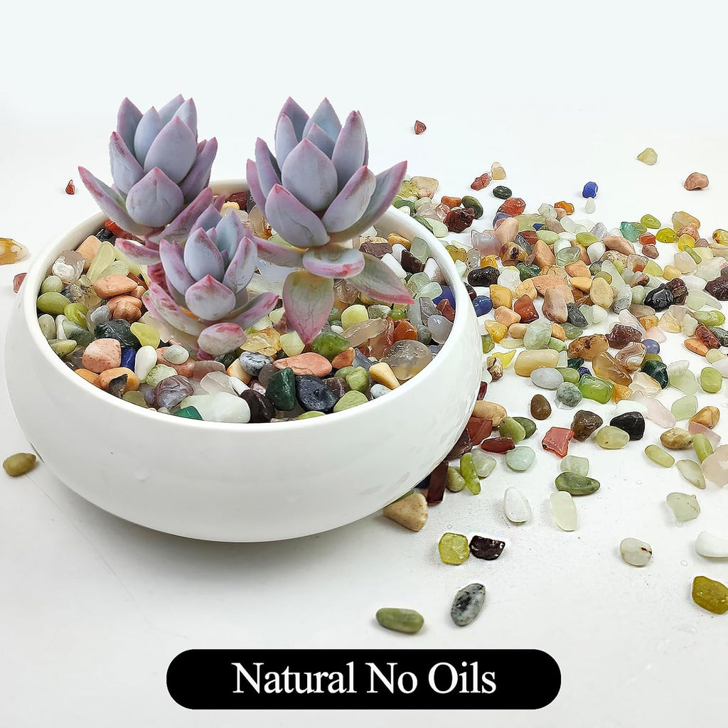 10LB Colorful Pebbles for Succulent, 3/8 Inch Natural River Rocks for Plants, Natural Decorative Polished Pebbles for Cactus,Vases, Planters,Outdoor Gardening and Indoor Plants