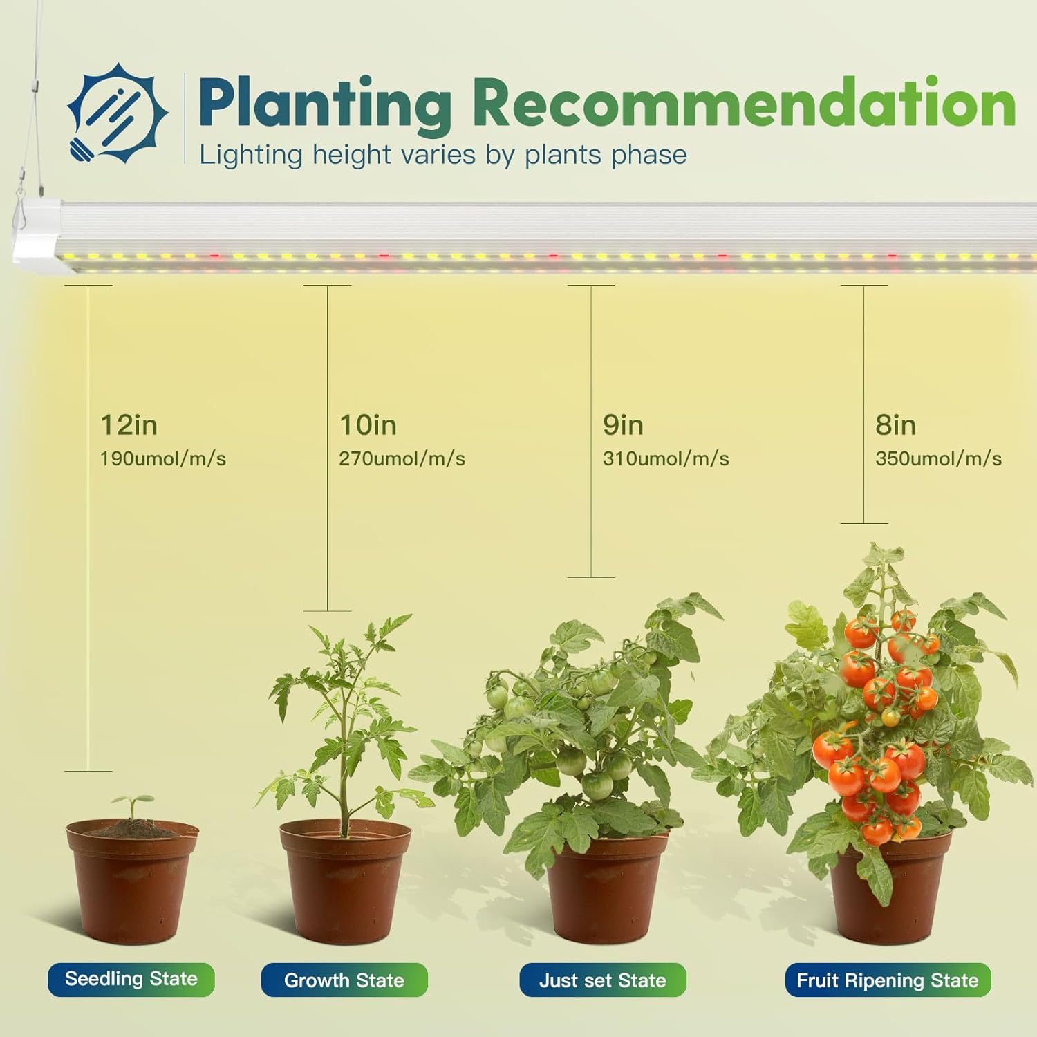 FREELICHT 2 Pack 4FT LED Grow Light, 40W (250W Equivalent), Full Spectrum Sunlight Growing Lamp Fixture, Linkable Hanging Plant Light for Hydroponic Indoor Plants Seeding, Plug-in with On/Off Switch