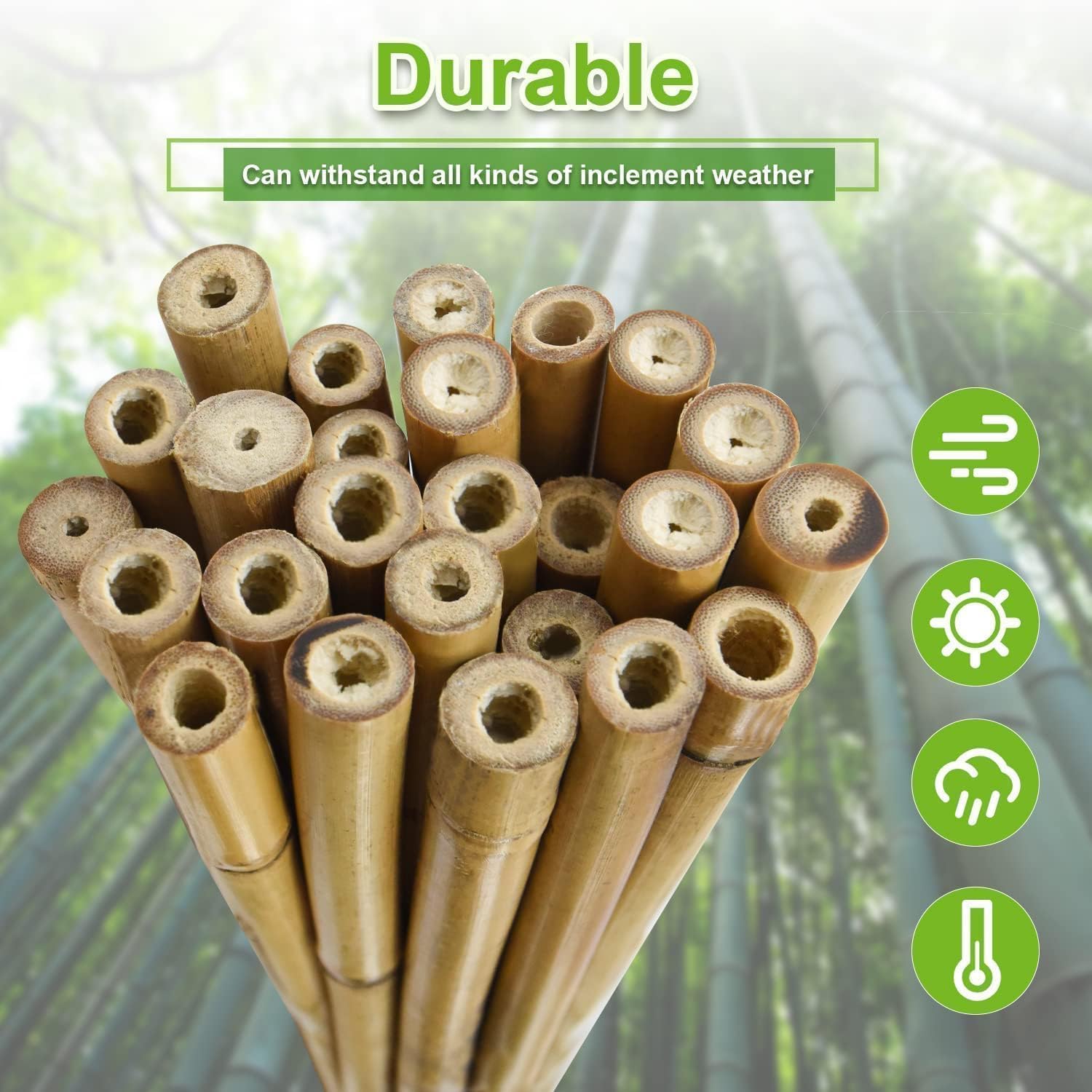 1" D 8 Feet Bamboo Stakes 50 Pack, Thicker Heavy-Duty Plant Stakes, Natural Garden Stakes for Bean, Tomato, Bean, Flowers,Trees Potted and Climbing Plant Support