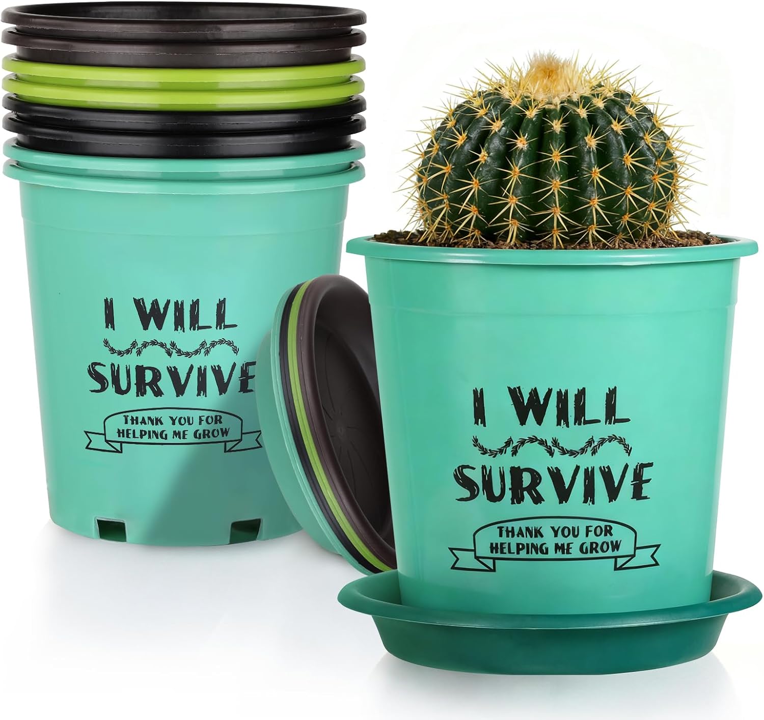 NIKONIKO 8 Pack 6.5 Inch Plant Pots, 4 Colors Pots for Plants, Flower Pots with Drainage Holes and Bottom Support, for Indoor & Outdoor Garden Home Plants