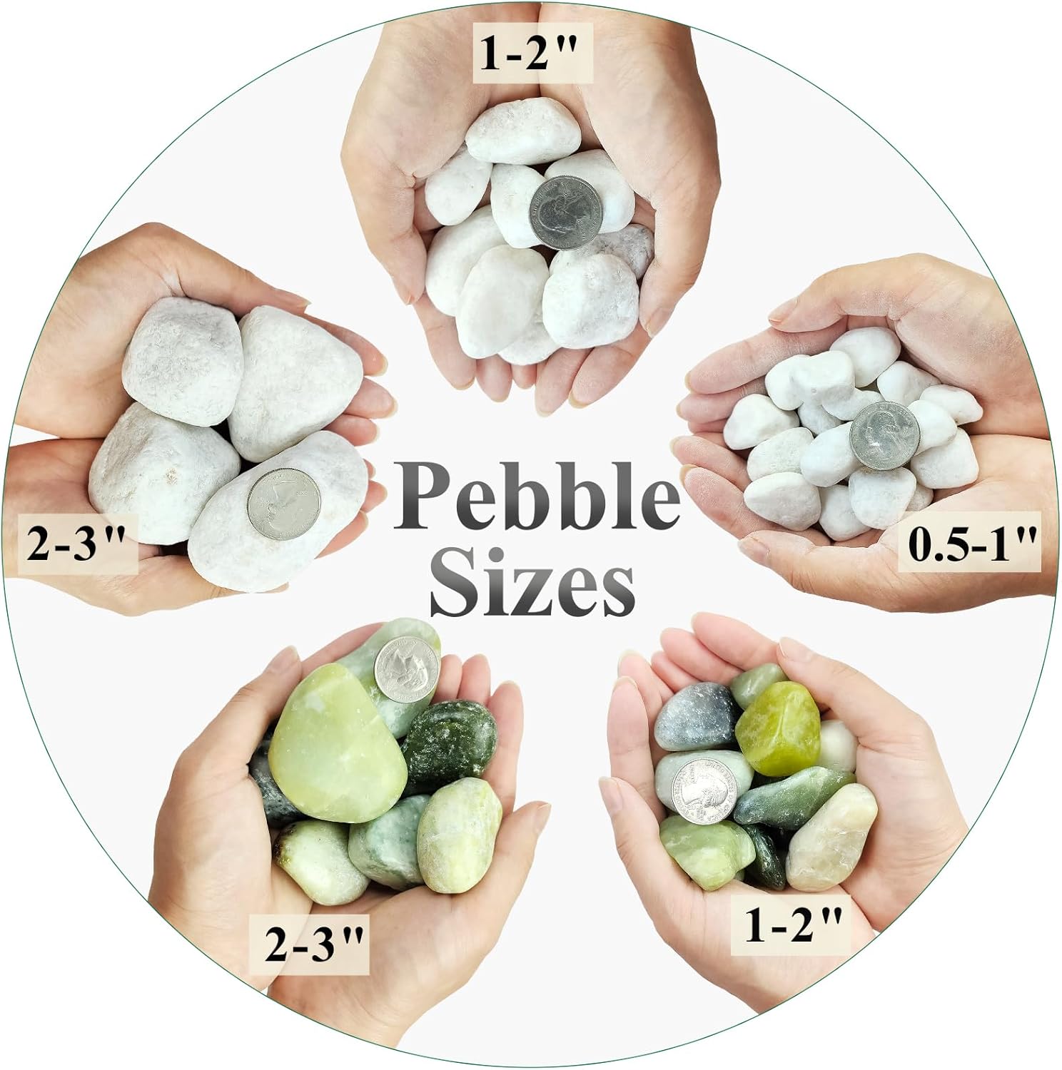 5 lbs White Pebbles for Indoor Plants, 0.5-1 Inch Pea Gravel Stones for Planters, Decorative River Rocks for Succulent, Cactus, Vases, Aquariums, Crafting and Garden Landscaping