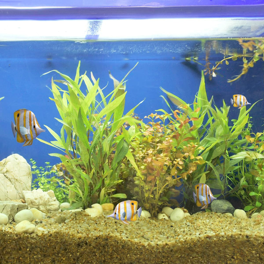 10lbs Aquarium Gravel, 1/16"(0.6-1.2mm) Natural River Rocks Succulent Cactus Pea Gravel for Plants, Fish Tank, Decorative Pebbles for Gardening, Flower Pots, Vase Fillers, Landscaping