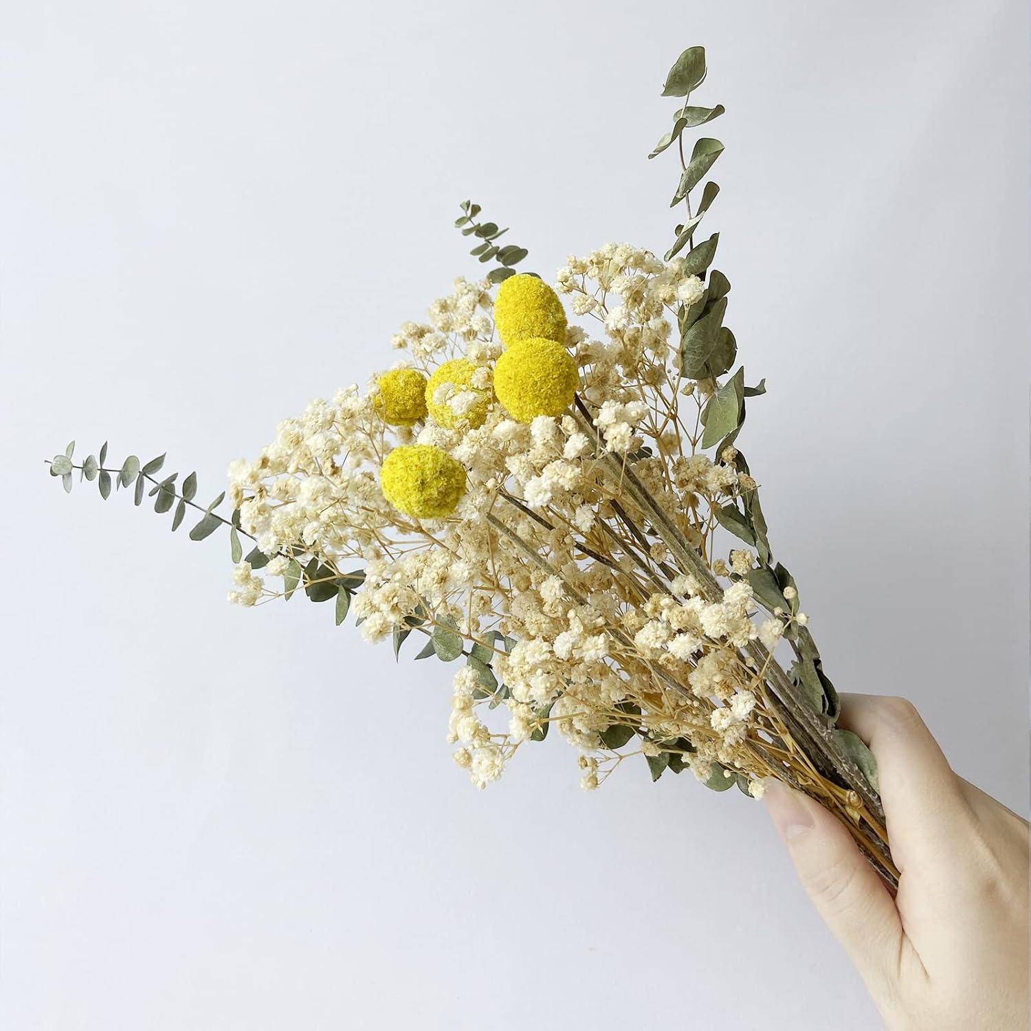 L'BREVOGA Dried Flower Bouquets, 100% Natural Flowers Craspedia/Baby’s Breath/Eucalyptus for Decoration Home Party (Billy Buttons)
