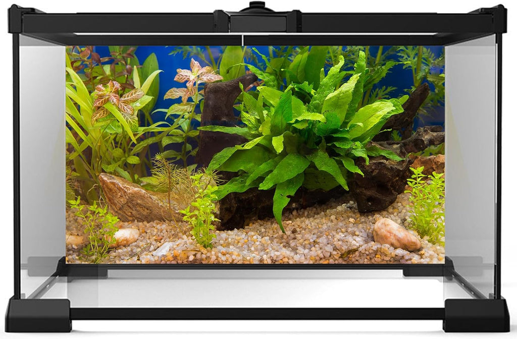 Aquarium Backdrop Underwater Grass Leaves Pebble Aquarium Background Vivid and Fresh Green Aquatic Plant Stone River Bed Fish Dead Wood Leaves Tank Background Decors Vinyl 60x24in