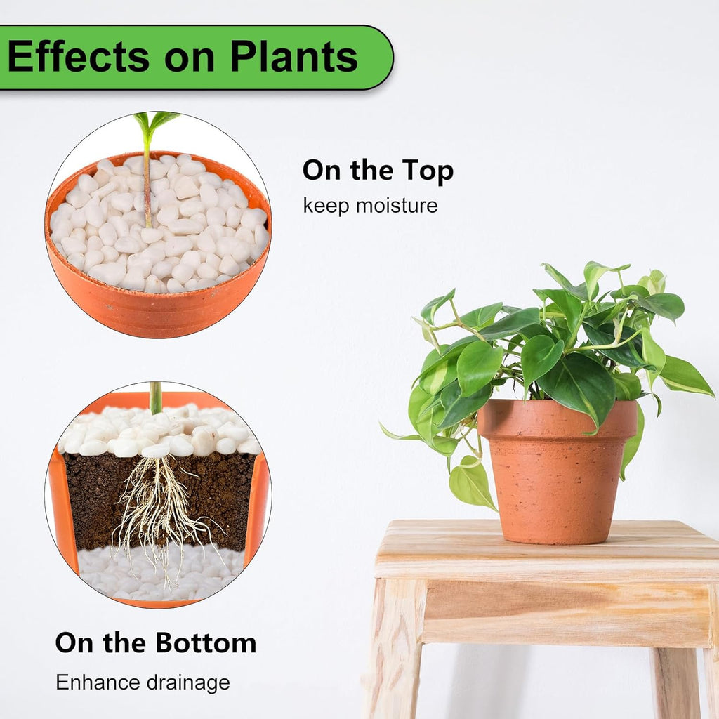 10 lbs White Garden Pebbles for Plants, 3/8" Small Plant Rocks for Pots Indoor, Decorative Pea Gravel for Succulents, Bamboo, Terrarium, Landscaping, Garden