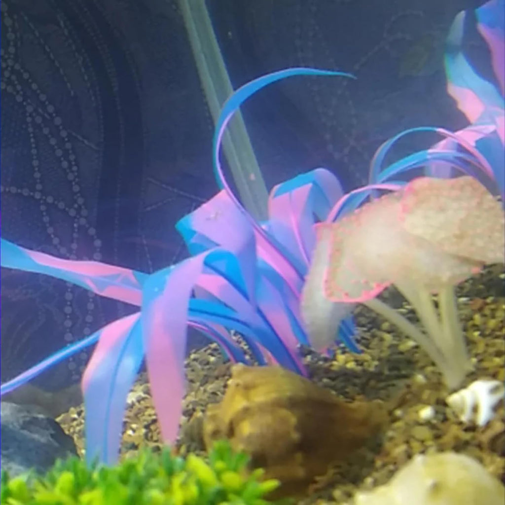 3Pcs Soft Silicone Aquarium Plants Set Glowing Kelp Fish Tank Plants Decor Artificial Blue Aquarium Plant Simulation Artificial Water Grass for Fish Tank,7.08in9.84in16.9in