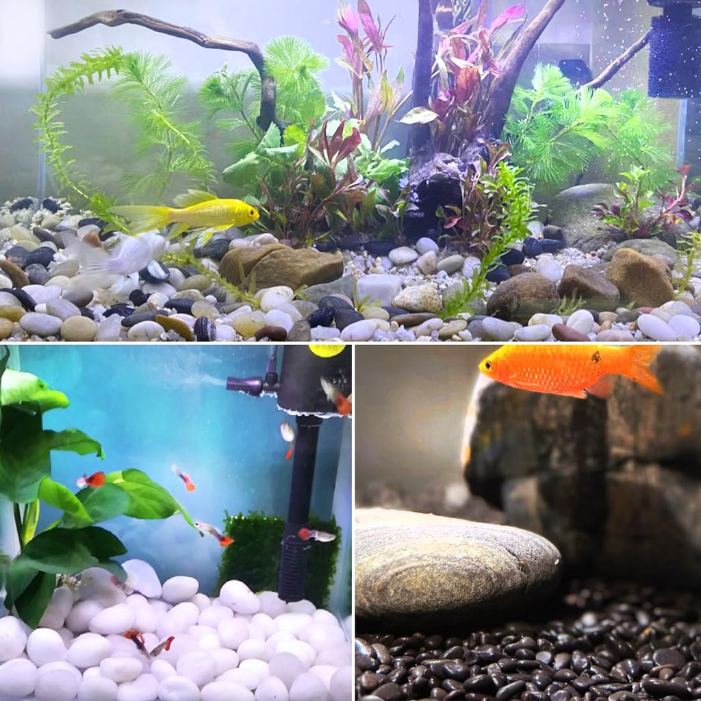 10lbs Black Pebbles for Plants, 2-3 Inch High Polished Natural Large River Rocks for Landscaping, Decorative Stones Vase Filler Fish Tank Aquariums Garden Outdoor and Indoor DIY