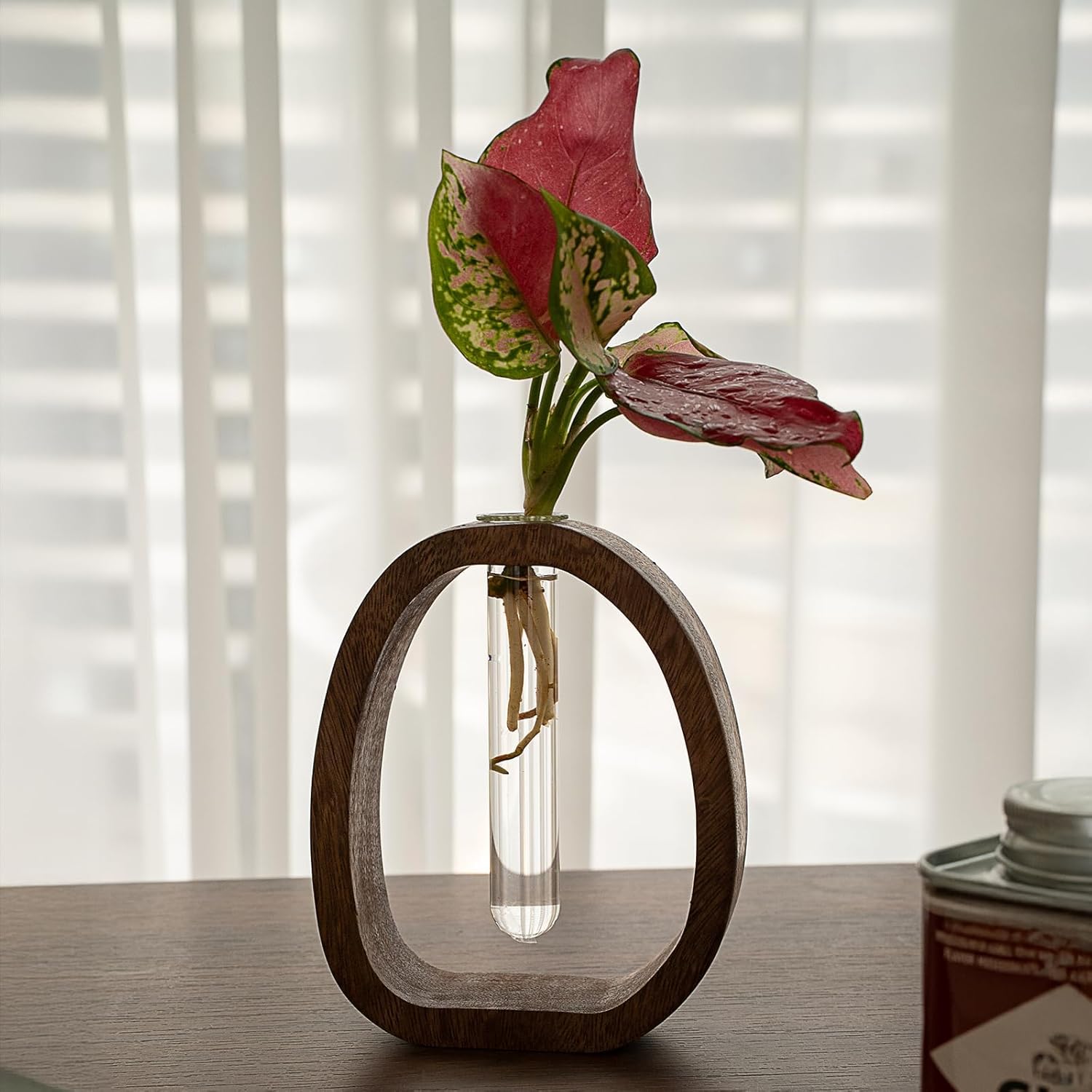 Modern Wooden Glass Test Tube Vase - Desk Plant Decor, Suitable for Home and Office Use