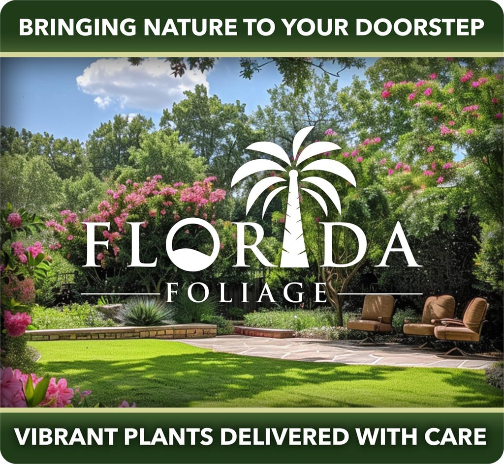 Carolina Jasmine | 30 Live Plants | Gelsemium Sempervirens | Fragrant Yellow Blooms, Evergreen Vine, Low Maintenance, Fast Growing, Climbing, Attracts Pollinators, Garden Trellis