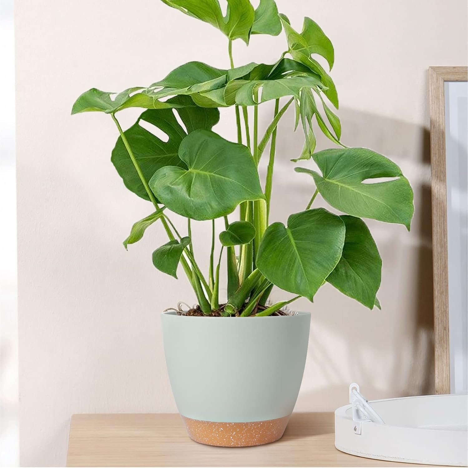 GARDIFE Plant Pots Set of 2 Pack 8 inch,Planters for Indoor Plants with Drainage Holes, Modern Decorative Flower Pots for All House Plants, Flowers, Green