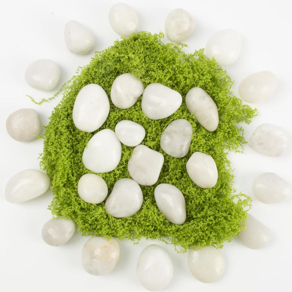 Natural White River Pebbles - LOOIOOJ 20 Lbs Polished Decorative Rocks, 0.5-1 inch, for Aquariums, Gardens, and Indoor Plant Drainage (White, Weight: 20 LB)