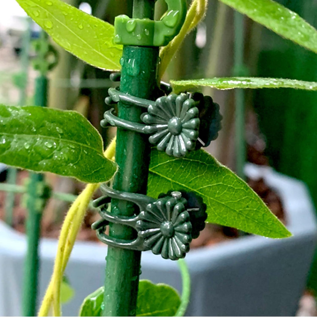 100Pcs Large Plant Clip,Daisy Garden Flower Plant Clip,for Orchids Vine Clip Support Stem Vine Upright Growth (Green)