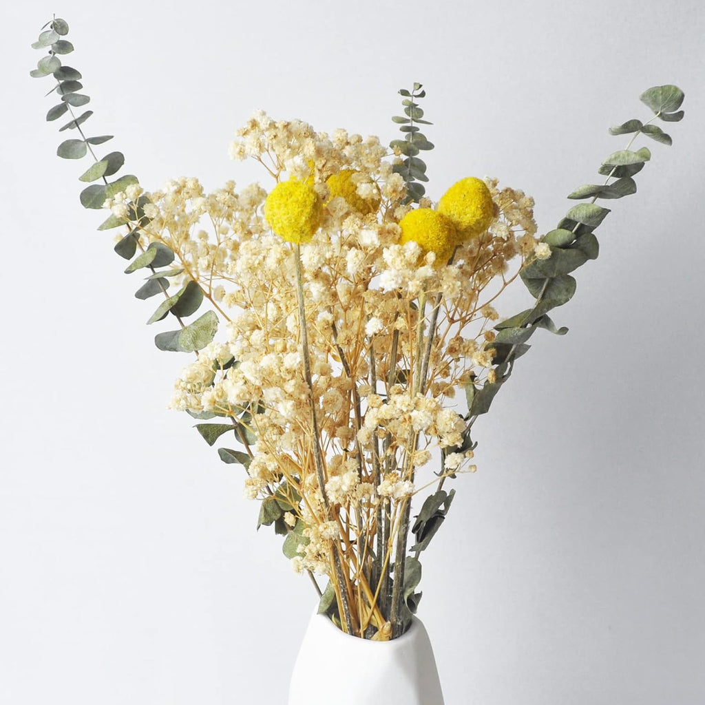 L'BREVOGA Dried Flower Bouquets, 100% Natural Flowers Craspedia/Baby’s Breath/Eucalyptus for Decoration Home Party (Billy Buttons)