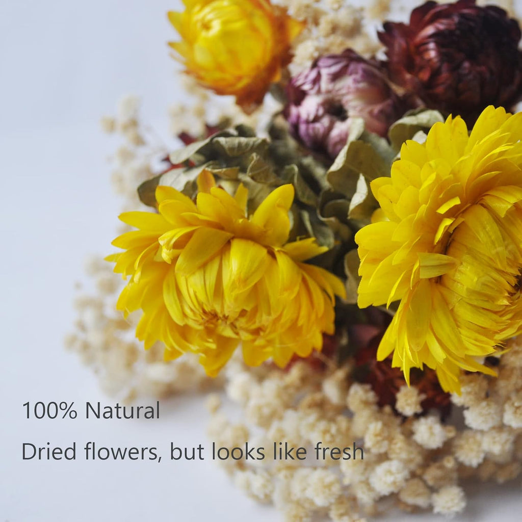 L'BREVOGA Dried Flower Bouquets, Natural Dried Daisy, Chrysanthemums with Baby’s Breath for Floral Arrangement Home Decoration Party Gift (Daisy)