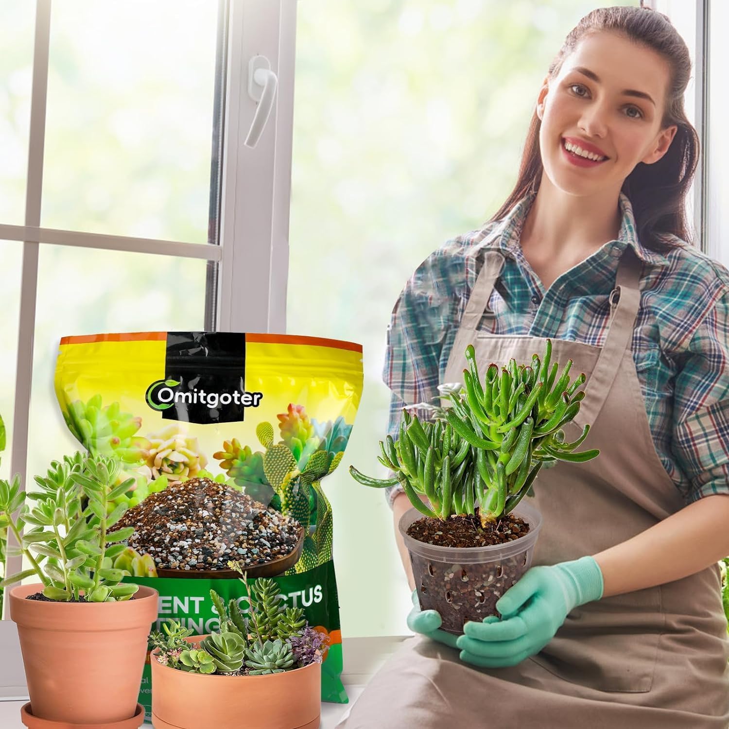 Succulent & Cactus Soil Potting Mix 1qt, Natural Organic Potting Mix for Cactus, Succulent, Palm, and Citrus Grown in Containers Indoors and Outdoors