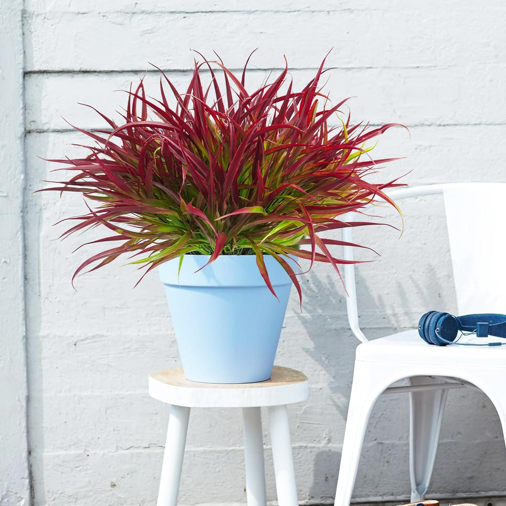 Uieke 6 Bundles Artificial Outdoor Plants UV Resistant Fake Grass Plants Faux Plastic Plants Greenery Shrubs for Home Garden Pathway Window Box Front Porch Summer Fall Decor, Deep Red